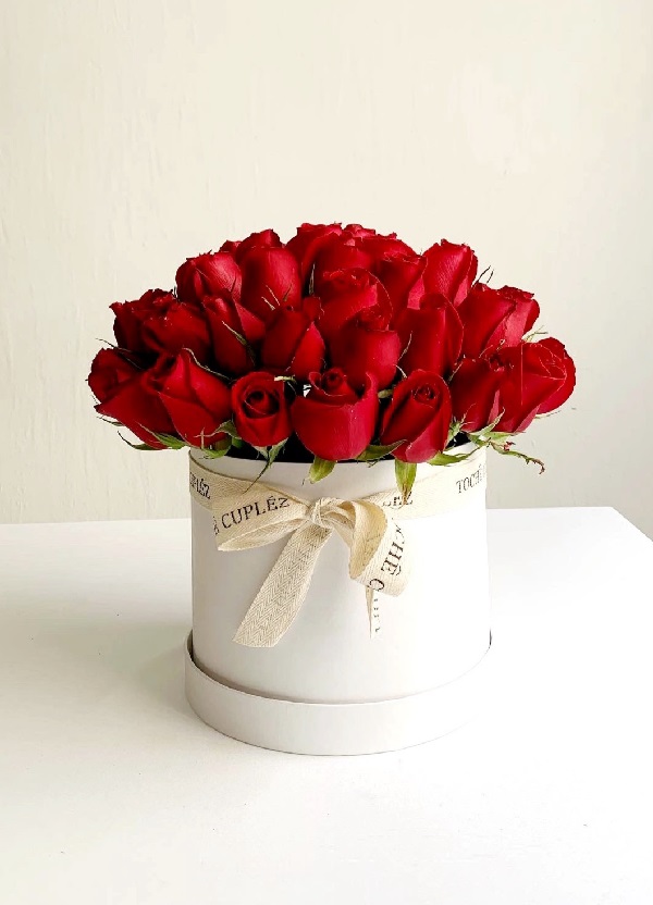 arreglo_de_50_rosas_rojas_cubeta